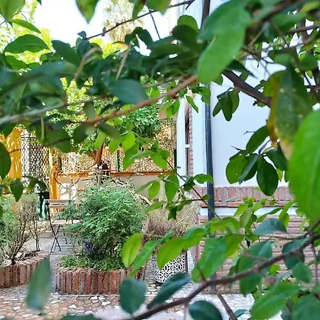 Casa Limonero Con Parking Gratis Junto A Centro Historico *