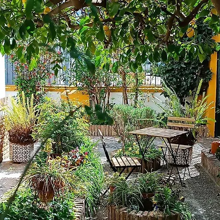 Casa Limonero Con Parking Gratis Junto A Centro Historico