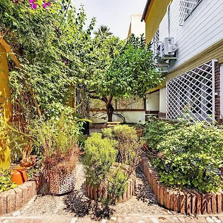 Casa Limonero Con Parking Gratis Junto A Centro Historico 度假居 格拉纳达