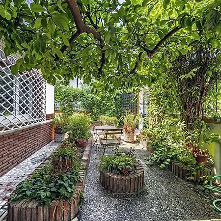Casa Limonero Con Parking Gratis Junto A Centro Historico 度假居 *