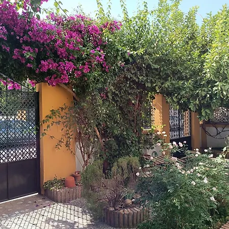 Casa Limonero Con Parking Gratis Junto A Centro Historico 別荘 グラナダ