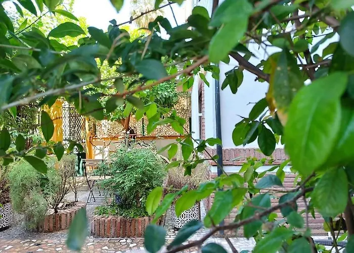 Casa Limonero Con Parking Gratis Junto A Centro Historico *