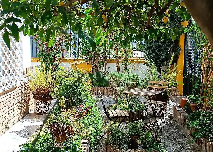 Casa Limonero Con Parking Gratis Junto A Centro Historico