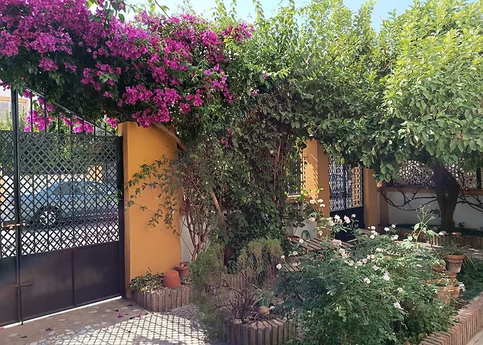 Casa Limonero Con Parking Gratis Junto A Centro Historico Casa vacanze Granada